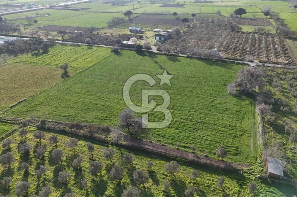 E.FOÇA YOLU ÜZERİ YOLA CEPHE SATILIK 7365 M2 TARLA