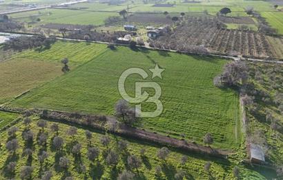 E.FOÇA YOLU ÜZERİ YOLA CEPHE SATILIK 7365 M2 TARLA