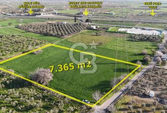 E.FOÇA YOLU ÜZERİ YOLA CEPHE SATILIK 7365 M2 TARLA