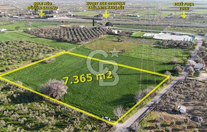 E.FOÇA YOLU ÜZERİ YOLA CEPHE SATILIK 7365 M2 TARLA
