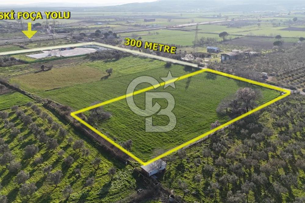 E.FOÇA YOLU ÜZERİ YOLA CEPHE SATILIK 7365 M2 TARLA