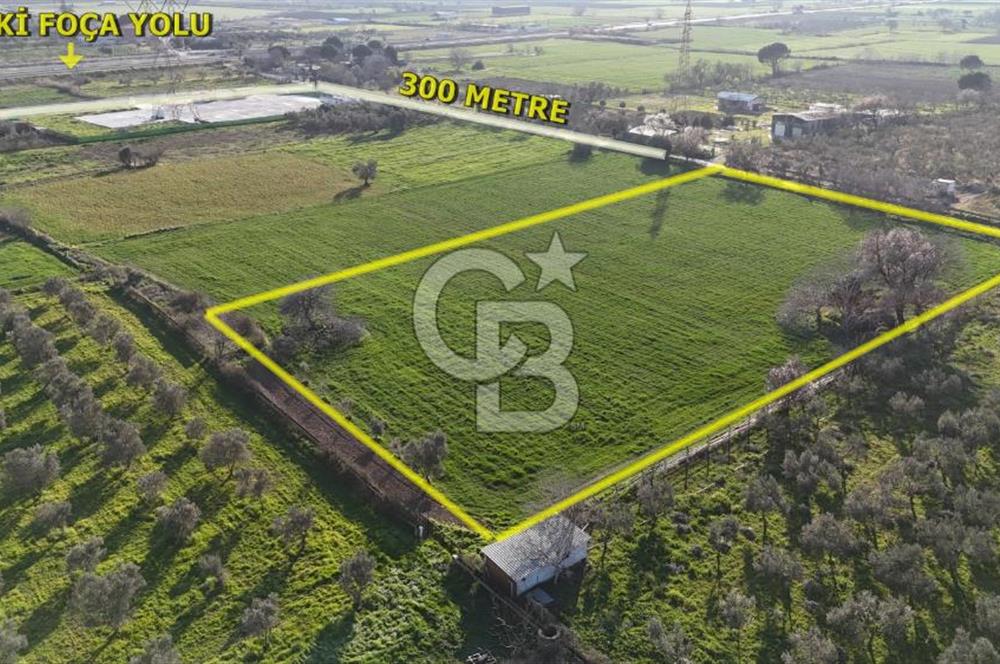 E.FOÇA YOLU ÜZERİ YOLA CEPHE SATILIK 7365 M2 TARLA