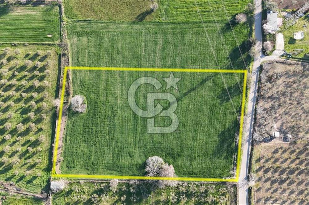 E.FOÇA YOLU ÜZERİ YOLA CEPHE SATILIK 7365 M2 TARLA