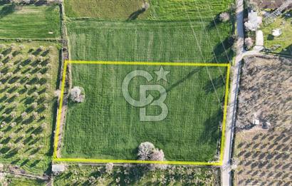 E.FOÇA YOLU ÜZERİ YOLA CEPHE SATILIK 7365 M2 TARLA
