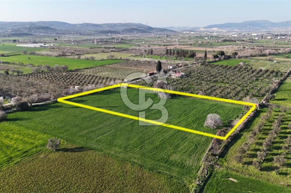 E.FOÇA YOLU ÜZERİ YOLA CEPHE SATILIK 7365 M2 TARLA