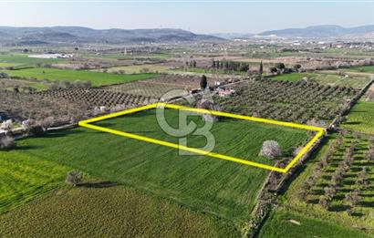 E.FOÇA YOLU ÜZERİ YOLA CEPHE SATILIK 7365 M2 TARLA