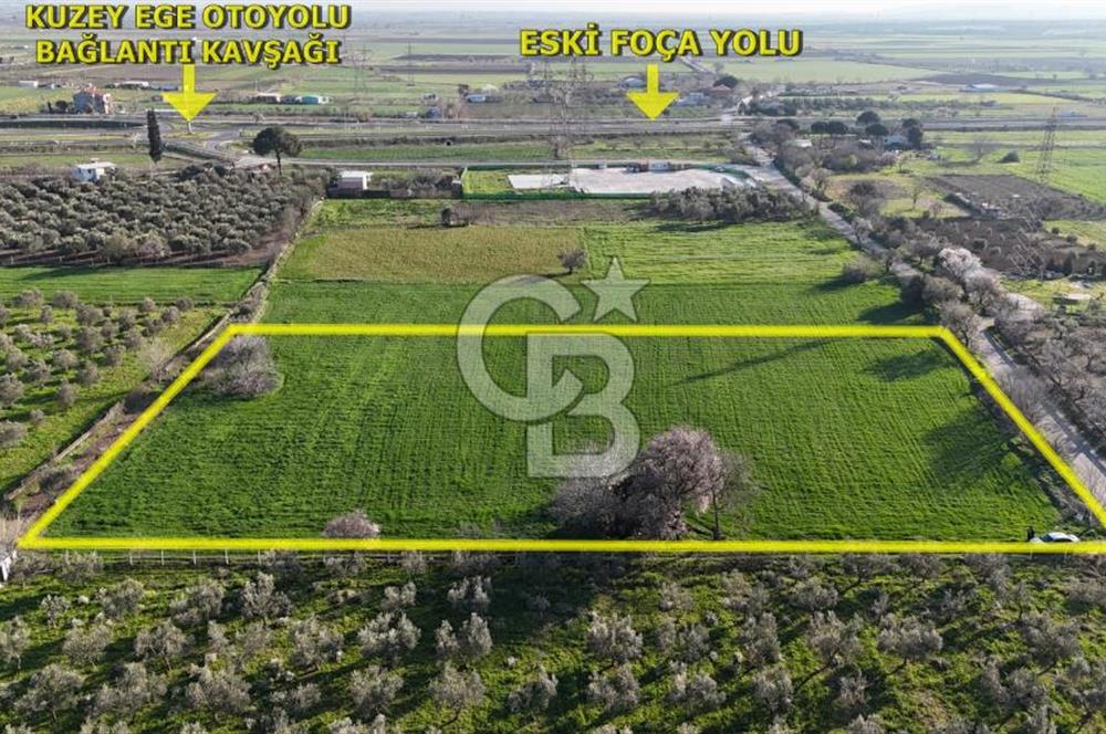 E.FOÇA YOLU ÜZERİ YOLA CEPHE SATILIK 7365 M2 TARLA