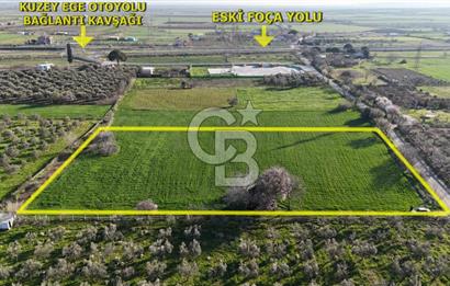 E.FOÇA YOLU ÜZERİ YOLA CEPHE SATILIK 7365 M2 TARLA