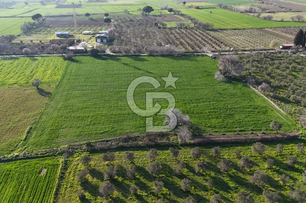 E.FOÇA YOLU ÜZERİ YOLA CEPHE SATILIK 7365 M2 TARLA