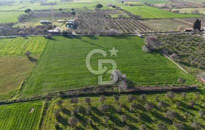 E.FOÇA YOLU ÜZERİ YOLA CEPHE SATILIK 7365 M2 TARLA