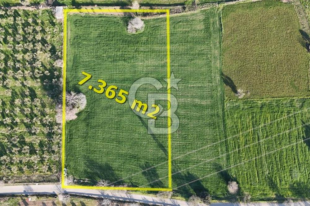 E.FOÇA YOLU ÜZERİ YOLA CEPHE SATILIK 7365 M2 TARLA