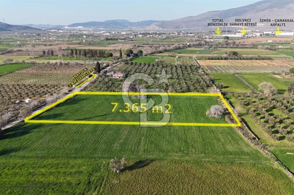 E.FOÇA YOLU ÜZERİ YOLA CEPHE SATILIK 7365 M2 TARLA