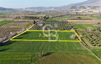 E.FOÇA YOLU ÜZERİ YOLA CEPHE SATILIK 7365 M2 TARLA