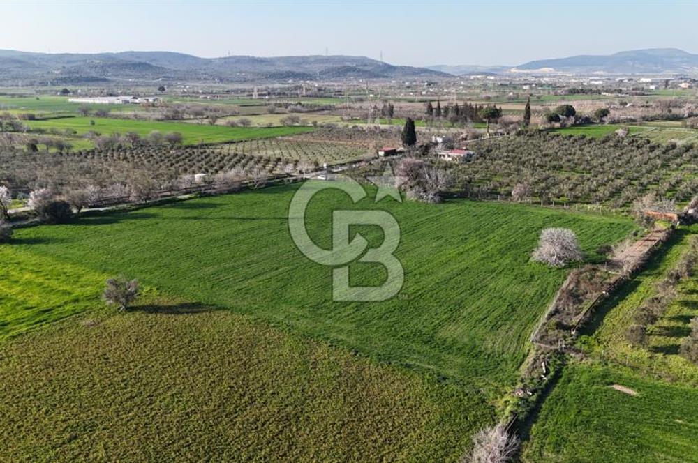 E.FOÇA YOLU ÜZERİ YOLA CEPHE SATILIK 7365 M2 TARLA