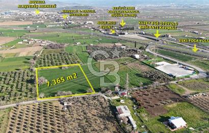 E.FOÇA YOLU ÜZERİ YOLA CEPHE SATILIK 7365 M2 TARLA