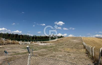 KAHRAMAN KAZAN İĞMİR DE YATIRIMA UYGUN 6227 M2 SATILIK TARLA