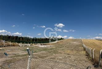 KAHRAMAN KAZAN İĞMİR DE YATIRIMA UYGUN 6227 M2 SATILIK TARLA