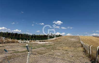 KAHRAMAN KAZAN İĞMİR DE YATIRIMA UYGUN 6227 M2 SATILIK TARLA