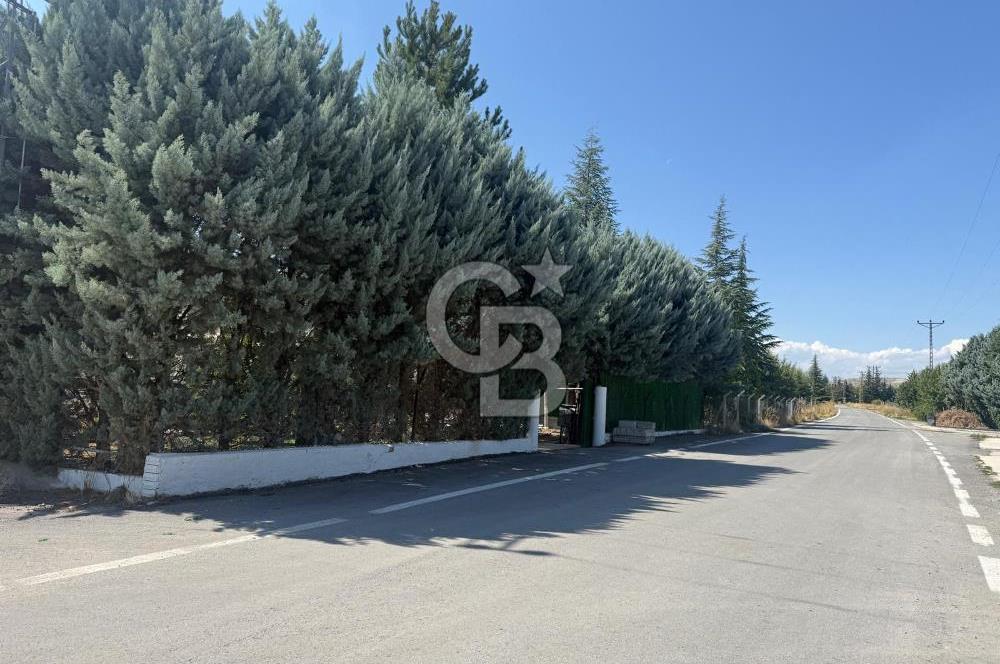 KAHRAMAN KAZAN İĞMİR DE YATIRIMA UYGUN 6227 M2 SATILIK TARLA