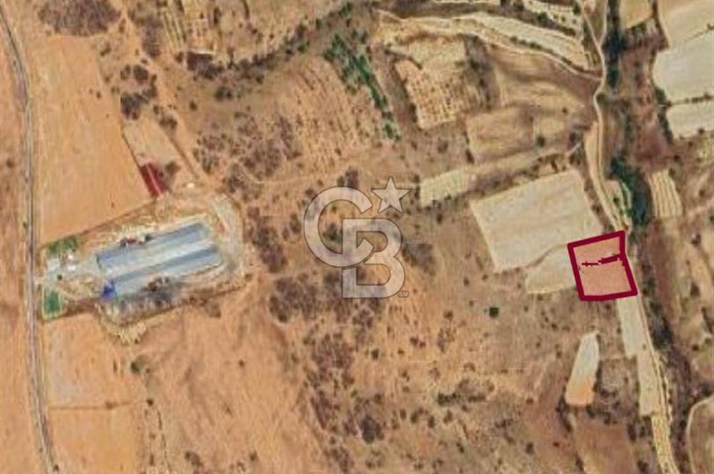 Denizli Çivril Bozdağ’da Müstakil Bağ – Yola Cepheli