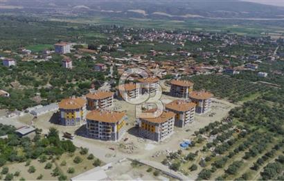 Aydın Kuyucak Horsunlu’da 250 m2 Kargır ev kayıtlı Arsa