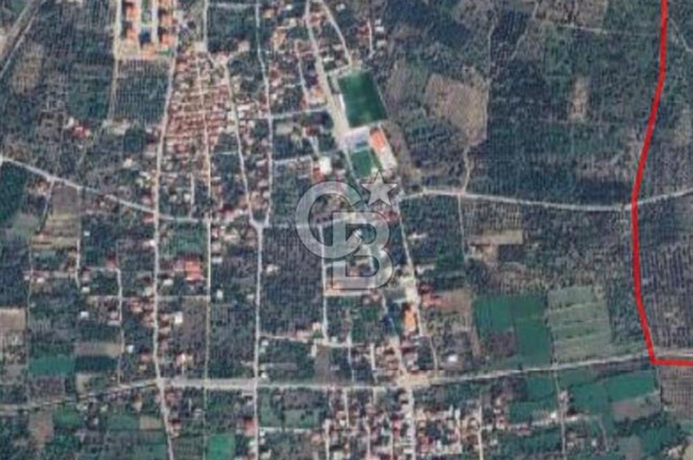Aydın Kuyucak Horsunlu’da 433 m2 İmarlı Arsa