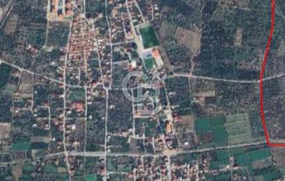 Aydın Kuyucak Horsunlu’da 433 m2 İmarlı Arsa