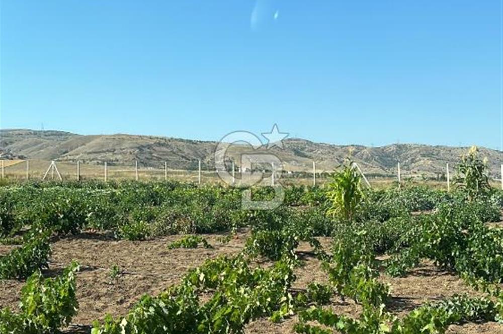 KIRIKKALE HACILAR'DA SATILIK BAHÇE