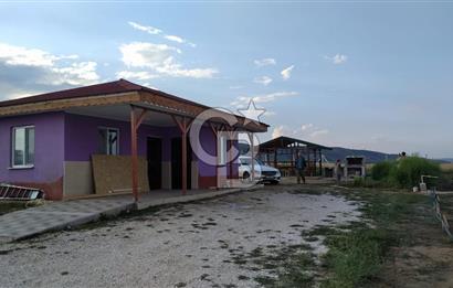 KIRIKKALE HACILAR'DA SATILIK BAHÇE