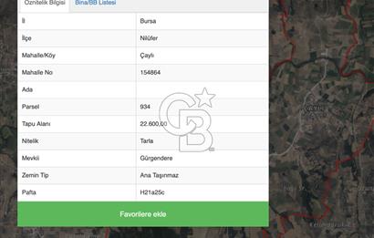 CB AMBIANCE'DAN ÇAYLI GÜRGENDEREDE SATILIK TARLA