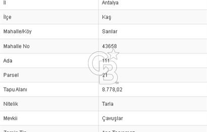 CB BLACK ANTALYA KAŞ SARILAR SATILIK FIRSAT ARAZİ!