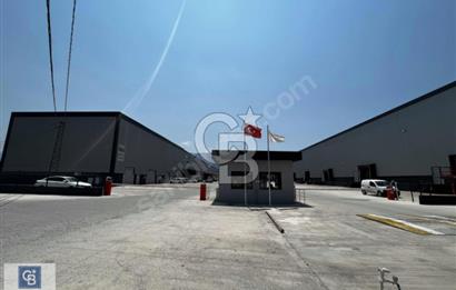 CB BLACK SAMANLI LOJİSTİK MERKEZİ KİRALIK 510M2 İŞYERİ&DEPO *