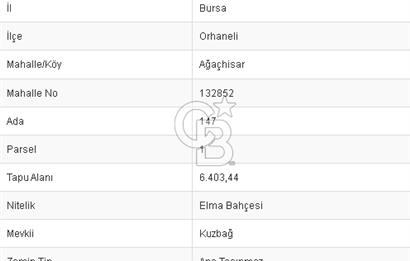 CB BLACK ORHANELİ SATILIK TEKTAPU 6403M2 YATIRIMLIK ARAZİ
