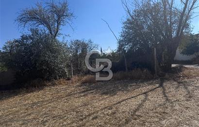 CB CITY’DEN ESKİŞEHİR YUKARISÖĞÜTÖNÜ KÖY İÇİ İMARLI SATILIK ARSA