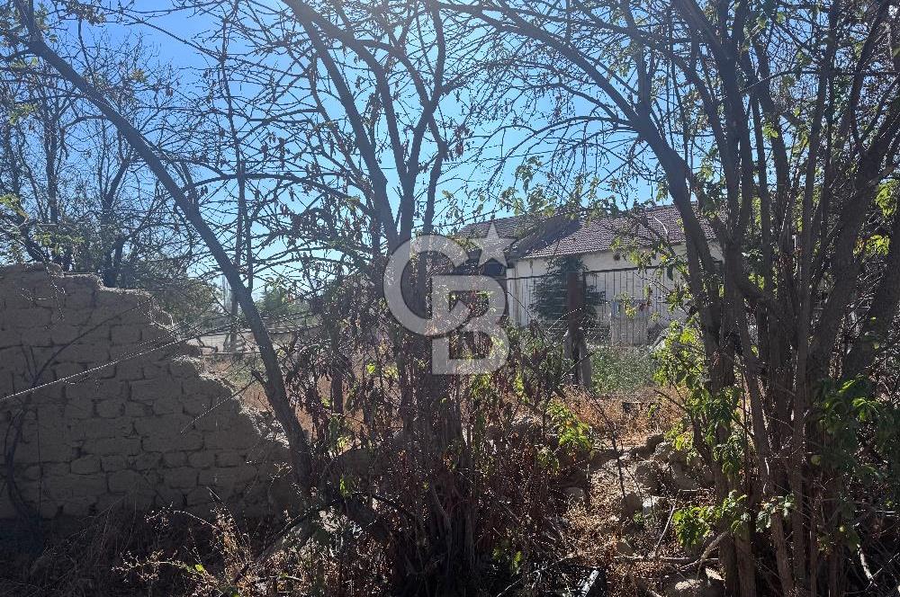 CB CITY’DEN ESKİŞEHİR YUKARISÖĞÜTÖNÜ KÖY İÇİ İMARLI SATILIK ARSA