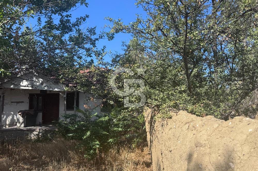 CB CITY’DEN ESKİŞEHİR YUKARISÖĞÜTÖNÜ KÖY İÇİ İMARLI SATILIK ARSA