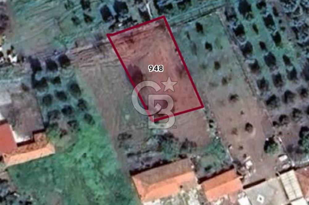 Akhisar Doğuca da 510 M² Villa İmarlı Satılık Arsa