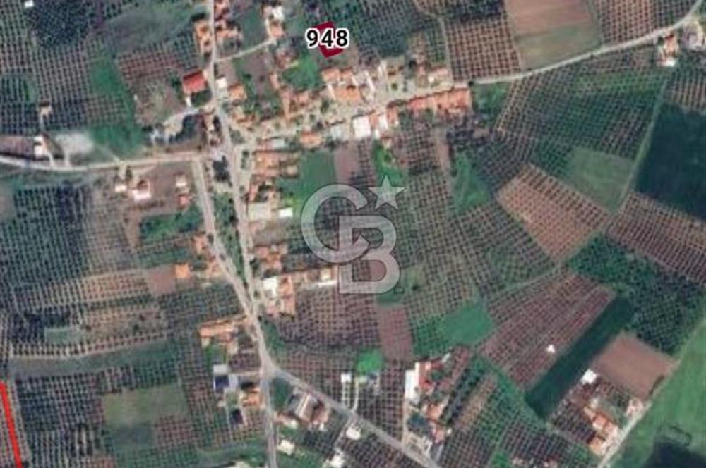 Akhisar Doğuca da 510 M² Villa İmarlı Satılık Arsa