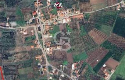 Akhisar Doğuca da 510 M² Villa İmarlı Satılık Arsa