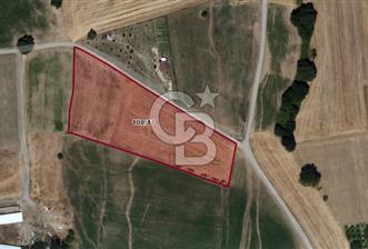 CB BLACK YAYLACIK SATILIK 2.768M2 ARAZİ *