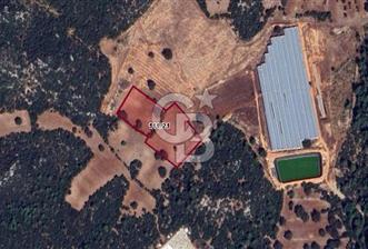 CB BLACK ANTALYA KAŞ SARILAR SATILIK FIRSAT ARAZİ!