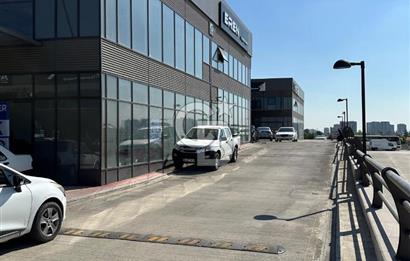 VEGA OTONOMİDE SATILIK 126M2 DÜKKAN