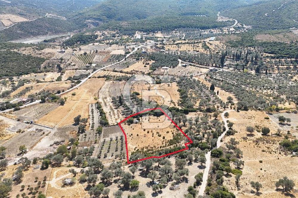KARABURUN KÖSEDERE'DE SATILIK 6.469 METREKARE TARLA