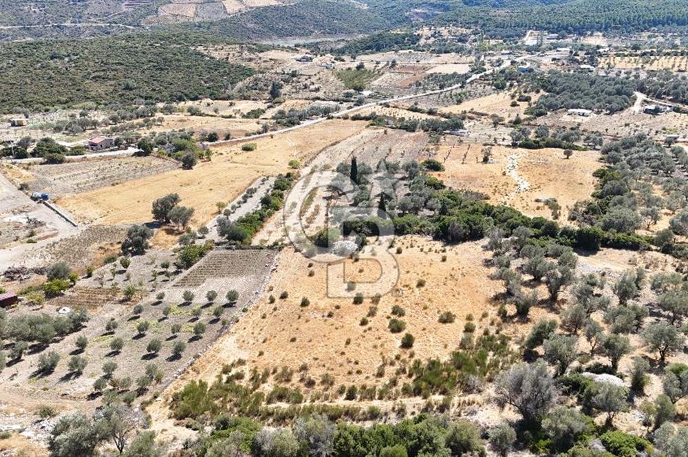 KARABURUN KÖSEDERE'DE SATILIK 6.469 METREKARE TARLA