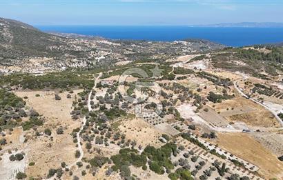 KARABURUN KÖSEDERE'DE SATILIK 6.469 METREKARE TARLA