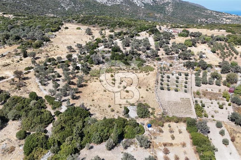 KARABURUN KÖSEDERE'DE SATILIK 6.469 METREKARE TARLA