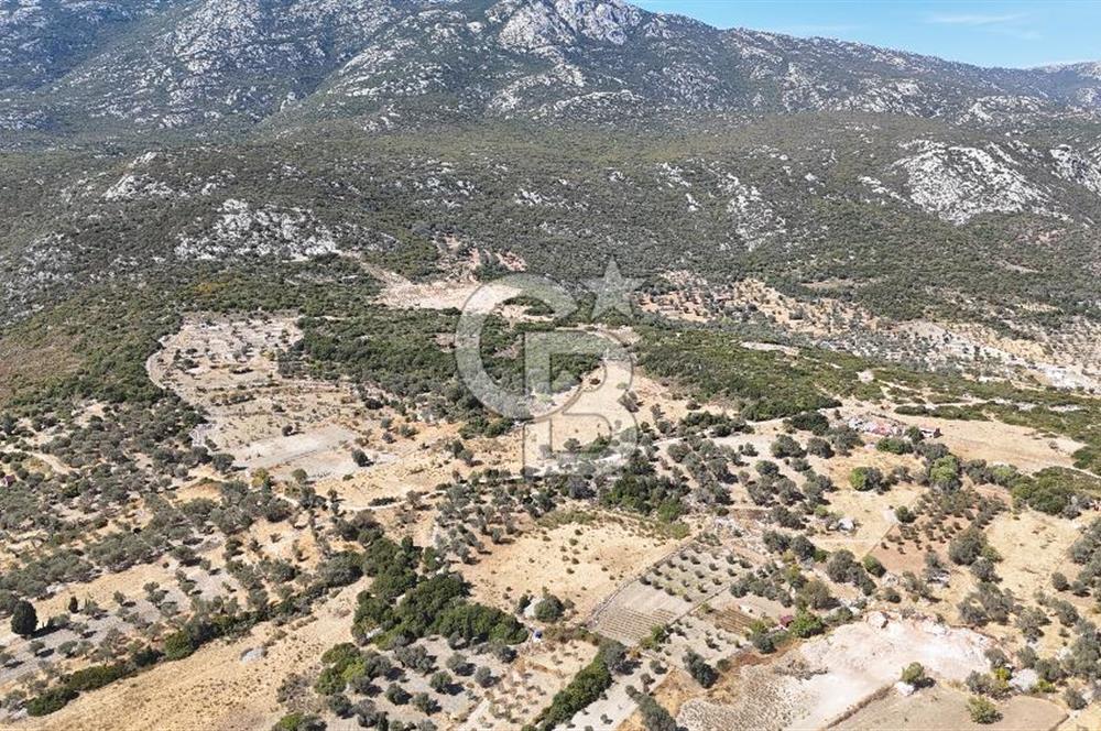 KARABURUN KÖSEDERE'DE SATILIK 6.469 METREKARE TARLA