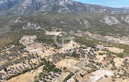 KARABURUN KÖSEDERE'DE SATILIK 6.469 METREKARE TARLA