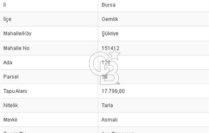 CB BLACK GEMLİK ŞÜKRİYE SATILIK 17.799M2 FIRSAT ARAZİ