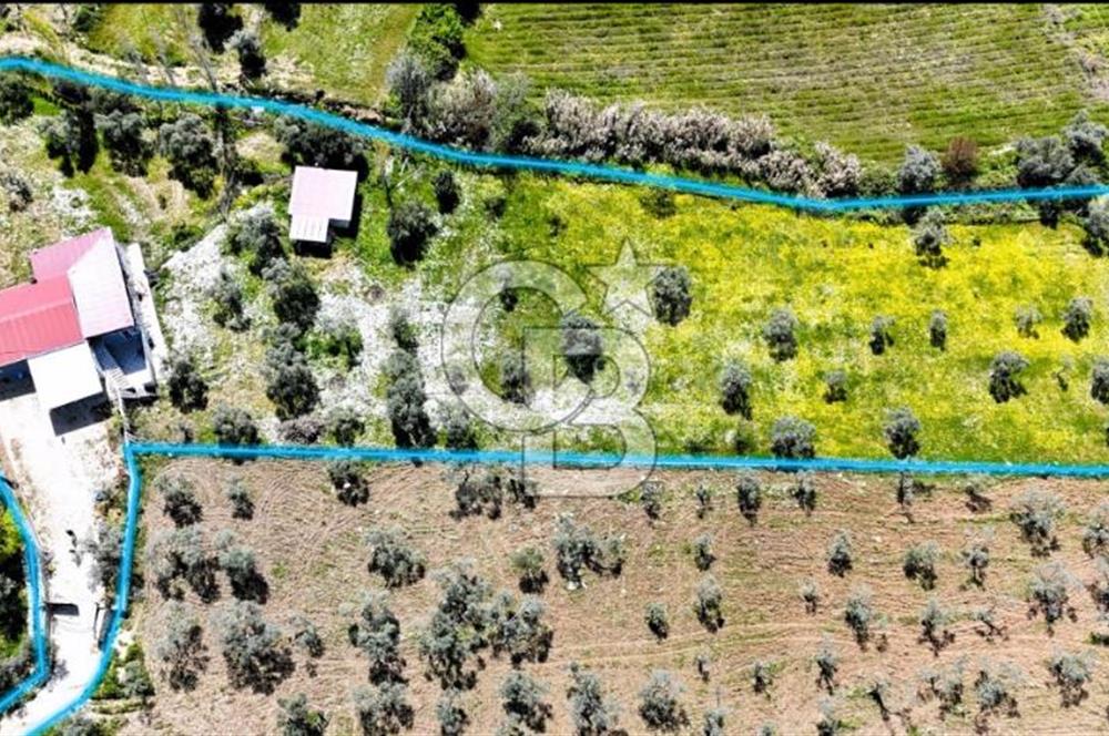 Torbalı Ormanköy’de 7 dönüm geniş arazi üzerinde 200 m² müstakil ev ile birlikte satılık tarla
